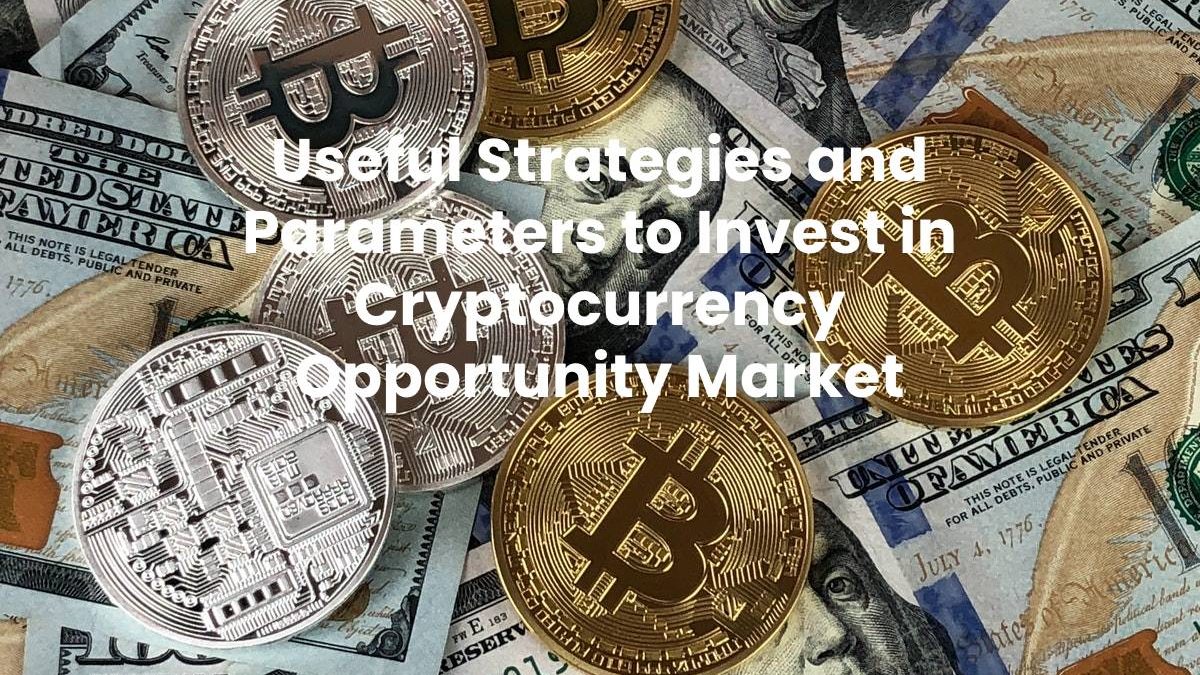 Useful Strategies and Parameters to Invest in Cryptocurrency Opportunity Market