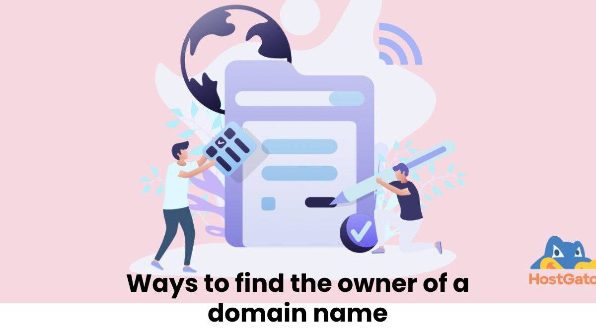 Ways to find the owner of a domain name